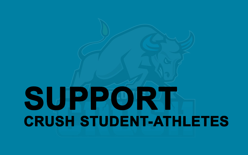 Support banner